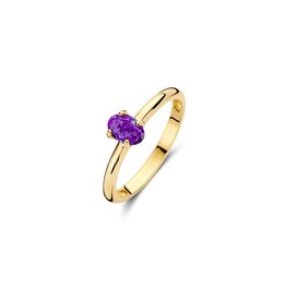 Blush Blush Ring 1242YAM/54 14k Geelgoud met Amethyst Maat 54