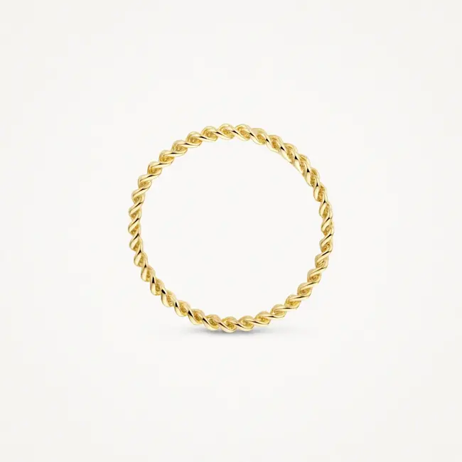 Blush Blush Ring 1229YGO/52 14k Geelgoud Schakel Maat 52