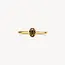 Blush Blush Ring 1242YSQ/56 14k Geelgoud met Smokey Quartz Maat 56