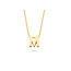 Blush Blush Collier met Hanger 3155YGO_M 14k Geelgoud met de letter M 42cm