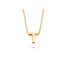 Blush Blush Collier met Hanger 3155YGO_T 14k Geelgoud met de letter T 42cm