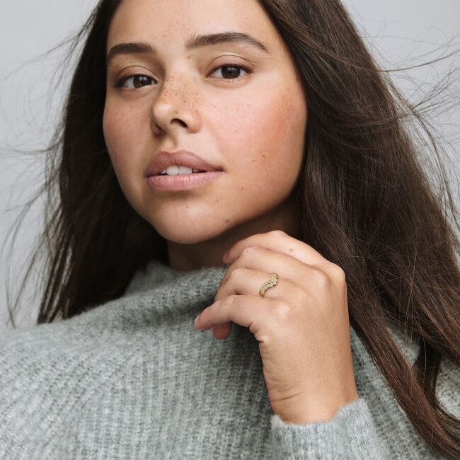 Pandora Pandora Ring 167736C01/54 Geelgouden Plating Tiara met Zirkonia maat 54