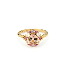 24KAE 24Kae Ring 124113Y/54 Zilver met gouden plating en roze zirkonia's