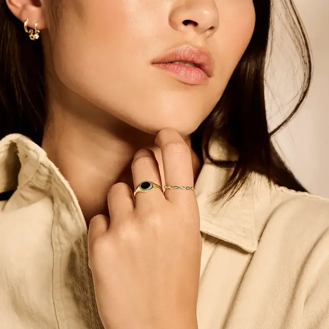 Blush Blush Ring 1220YGO/52 14k Geelgoud Gedraaide Motief Maat 52