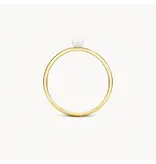 Blush Blush Ring 1213YPW/54 14k Geelgoud met Parel Maat 54