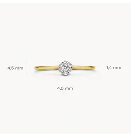 Blush Blush Ring 1610BDI/54 14k Geelgoud 0.11crt G SI Briljant geslepen Diamant Maat 54