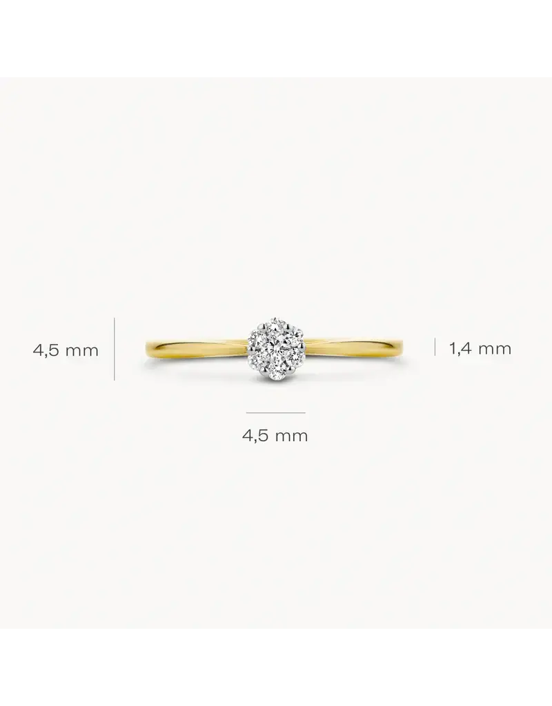 Blush Blush Ring 1610BDI/54 14k Geelgoud 0.11crt G SI Briljant geslepen Diamant Maat 54