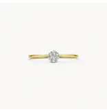Blush Blush Ring 1610BDI/54 14k Geelgoud 0.11crt G SI Briljant geslepen Diamant Maat 54