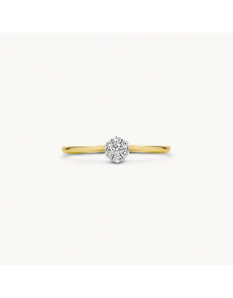 Blush Blush Ring 1610BDI/54 14k Geelgoud 0.11crt G SI Briljant geslepen Diamant Maat 54