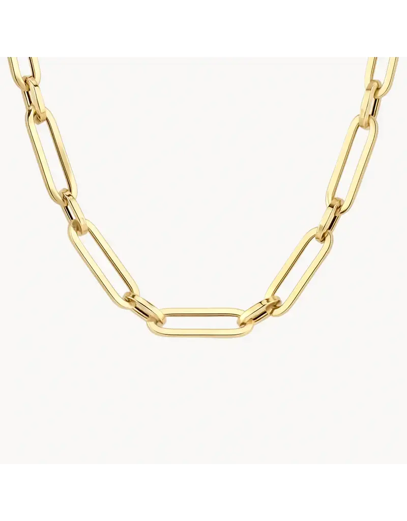 Blush Blush Collier 3129YGO 14k Geelgoud Closed Forever 45cm