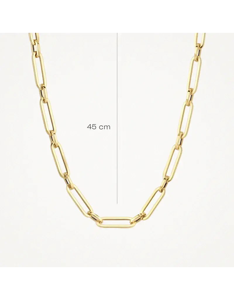 Blush Blush Collier 3129YGO 14k Geelgoud Closed Forever 45cm