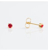 Tiny Tips tiny Tips TT-107 kinderoorbellen goldplated met rode zirkonia