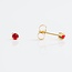 Tiny Tips Tiny Tips Kinder Oorbellen TT-107 Allergie Vrij Staal Met Geelgouden Plating en Rode Zirkonia