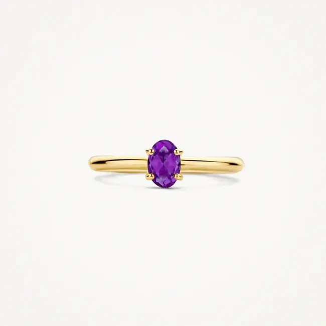 Blush Blush Ring 1242YAM/54 14k Geelgoud met Amethyst Maat 54
