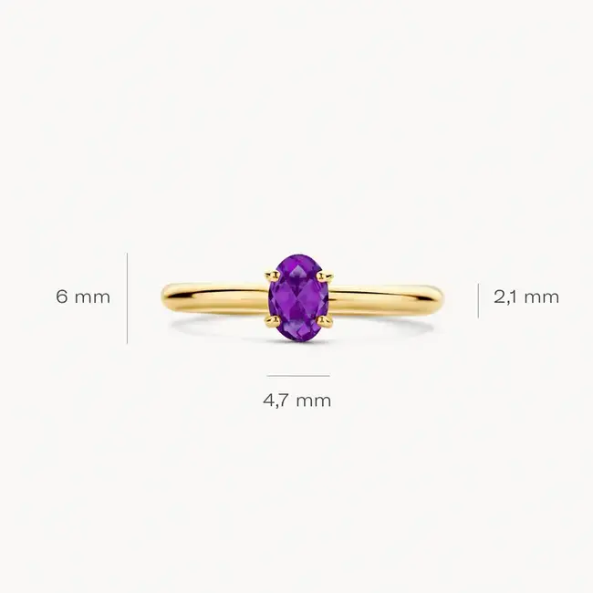 Blush Blush Ring 1242YAM/54 14k Geelgoud met Amethyst Maat 54