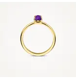 Blush Blush Ring 1242YAM/54 14k Geelgoud met Amethyst Maat 54