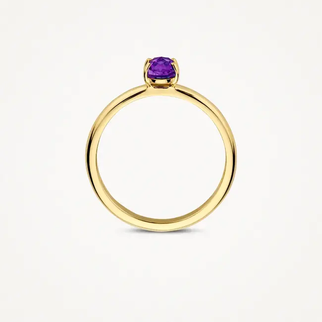 Blush Blush Ring 1242YAM/54 14k Geelgoud met Amethyst Maat 54