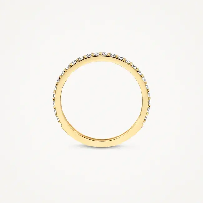 Blush Blush Ring 1244YZI/54 14k Geelgoud met zirkonia Maat 54