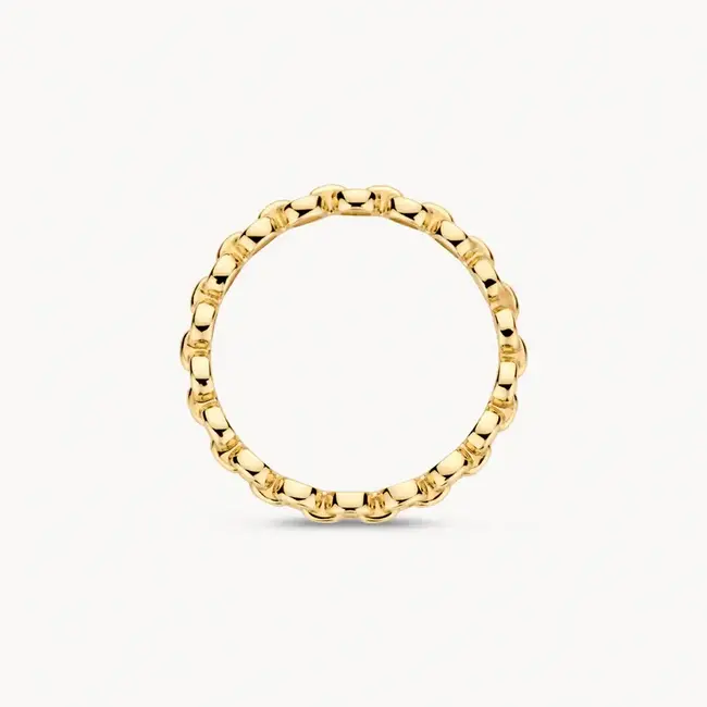 Blush Blush Ring 1246YGO/54 14k Geelgoud Link Maat 54