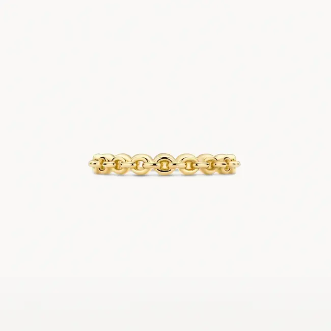Blush Blush Ring 1246YGO/54 14k Geelgoud Link Maat 54