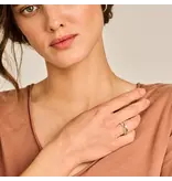 Blush Blush Ring 1247YGO/56 14k Geelgoud Gourmette Schakel Maat 56