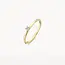 Blush Blush Solitair Ring 1200YZI/52 14k Geelgoud met Briljant geslepen Zirkonia Maat 52