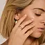 Blush Blush Solitair Ring 1200YZI/52 14k Geelgoud met Briljant geslepen Zirkonia Maat 52