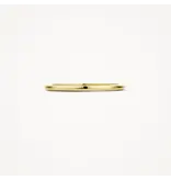 Blush Blush Ring 1197YGO/52 14k Geelgoud Glad Maat 52