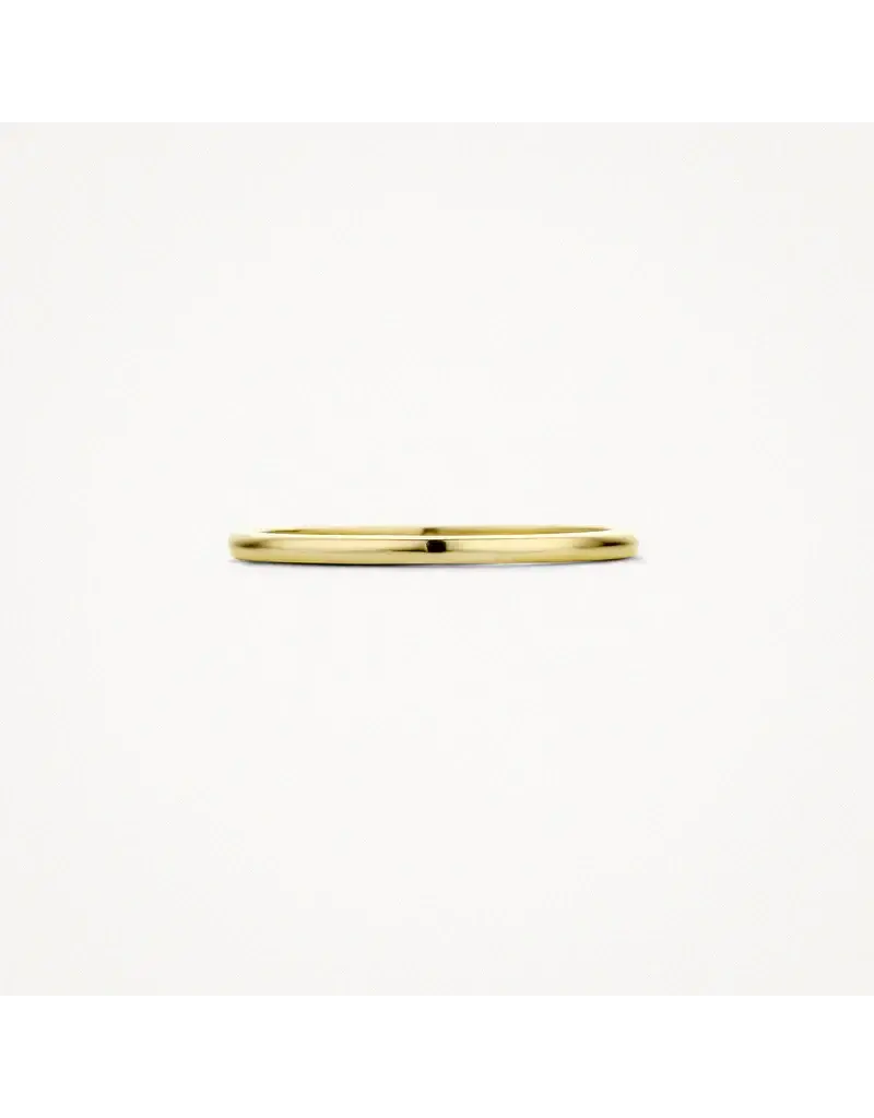 Blush Blush Ring 1197YGO/52 14k Geelgoud Glad Maat 52