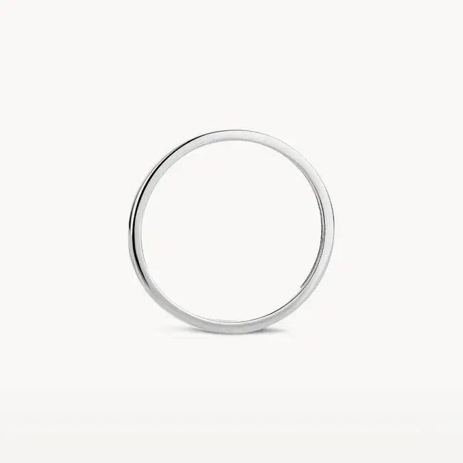 Blush Blush Ring 1197WGO/52 14k Witgoud Glad Maat 52