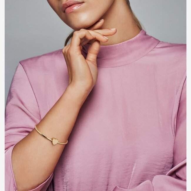 Pandora Pandora bedel 782015C00 Zilver 14k Geelgouden Plating Graveerhart