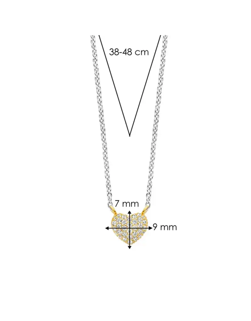 Ti Sento Milano Ti Sento Collier 3899ZY/42 Zilver Bi-color Hart en Zirkonia 38-48cm