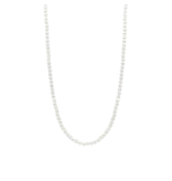 Ti Sento Milano Ti Sento Collier 3962PW/42 Zilver Gerhodineerd met Parels 42cm