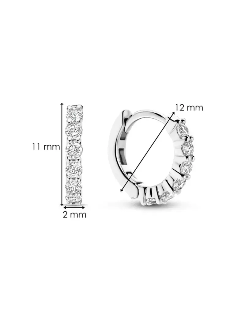 Ti Sento Milano Ti Sento Oorbellen 7956ZI Zilver Gerhodineerd met Zirkonia 12mm