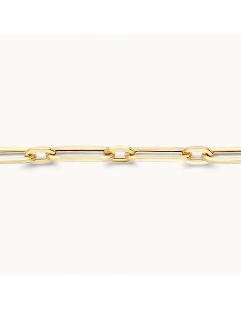 Blush Blush Armband 2189YGO 14k Geelgoud Forever Closed 18.5cm