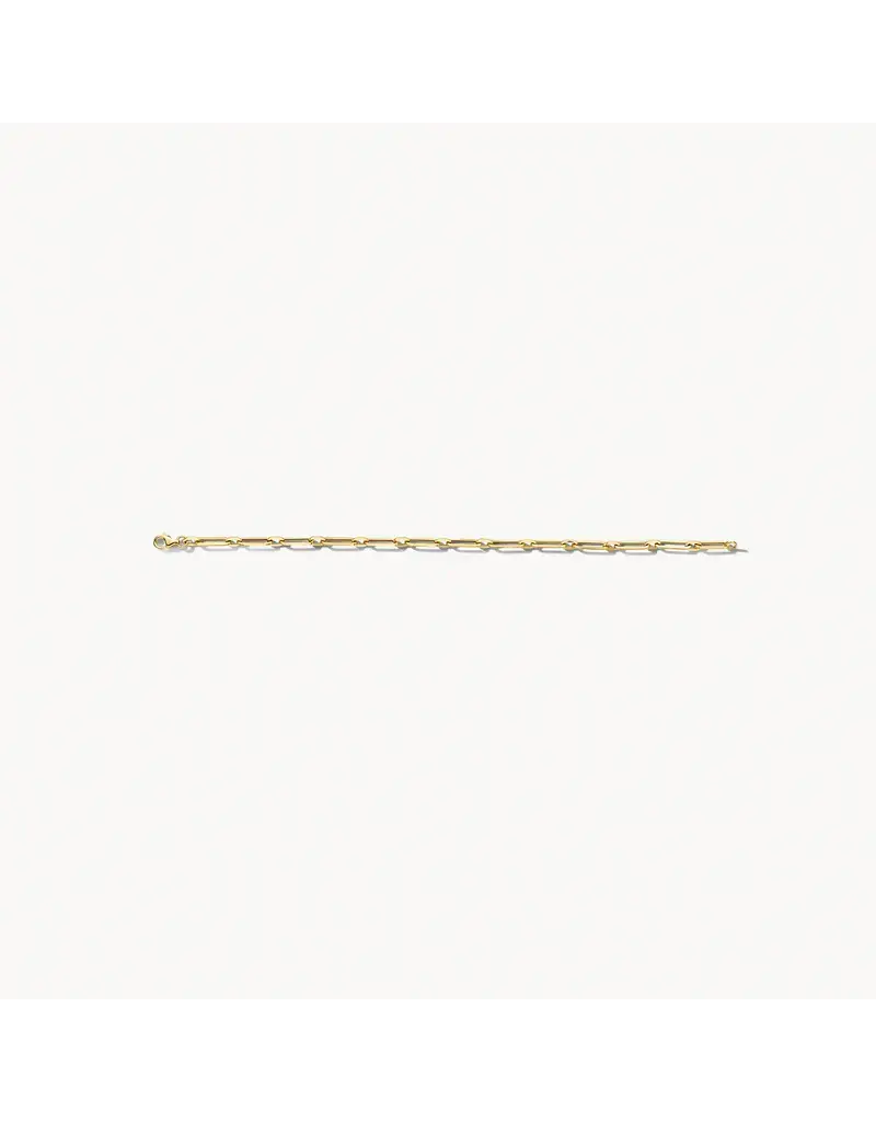 Blush Blush Armband 2189YGO 14k Geelgoud Forever Closed 18.5cm