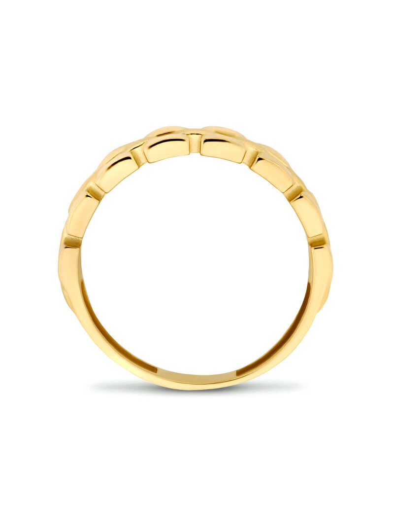 Blinckers Jewelry Huiscollectie BJ Ring 40.29501/19 Ring 14k geelgoud schakel