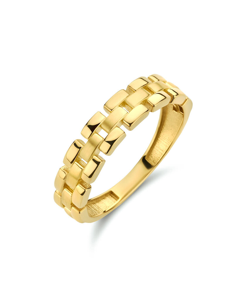 Blinckers Jewelry Huiscollectie BJ Ring 40.29501/19 Ring 14k geelgoud schakel