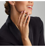 Blinckers Jewelry Huiscollectie BJ Ring 40.29501/19 Ring 14k geelgoud schakel