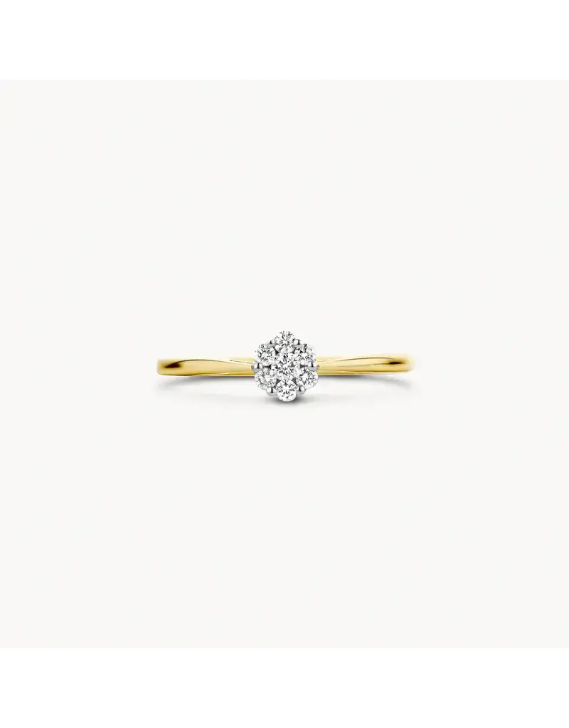 Blush 1611BDI/54 Ring 14 krt goud met diamant maat 54