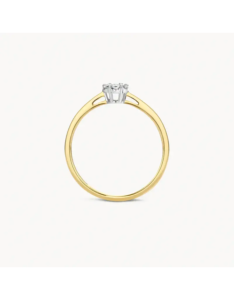 Blush 1611BDI/54 Ring 14 krt goud met diamant maat 54