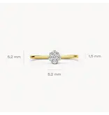 Blush 1611BDI/54 Ring 14 krt goud met diamant maat 54