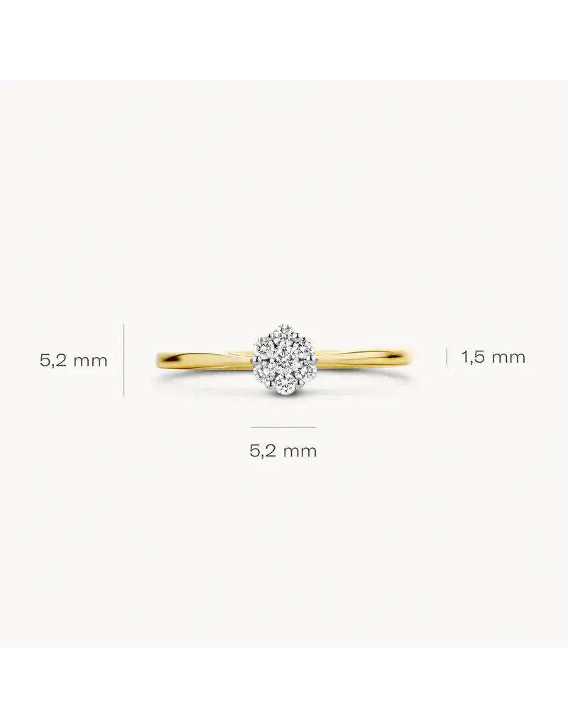 Blush 1611BDI/54 Ring 14 krt goud met diamant maat 54