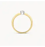 Blush Blush Ring 1125BZI/54 14k Geelgoud gezet met Briljant geslepen Zirkonia Maat 54