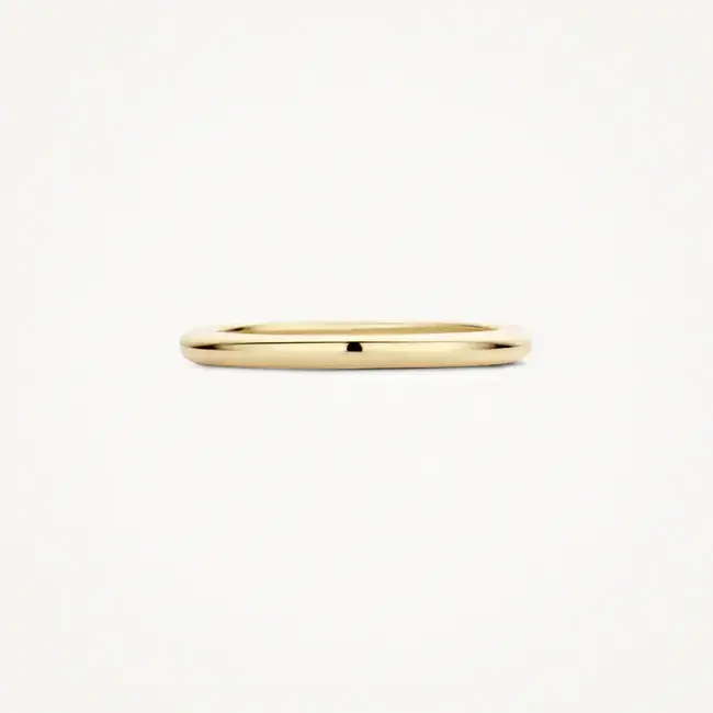 Blush Blush Ring 1117YGO/54 14k Geelgoud Glad Maat 54