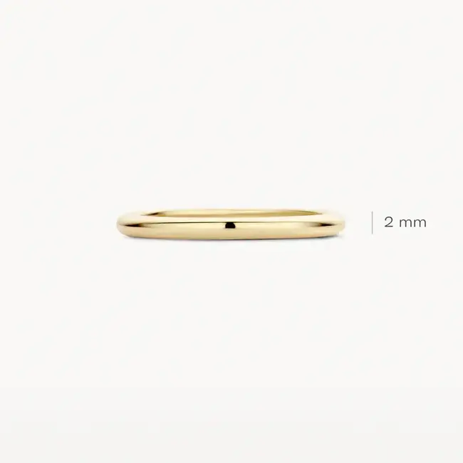 Blush Blush Ring 1117YGO/54 14k Geelgoud Glad Maat 54