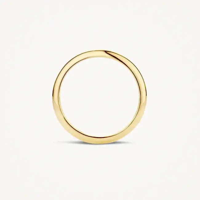 Blush Blush Ring 1117YGO/54 14k Geelgoud Glad Maat 54