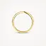Blush Blush Ring 1117YGO/54 14k Geelgoud Glad Maat 54
