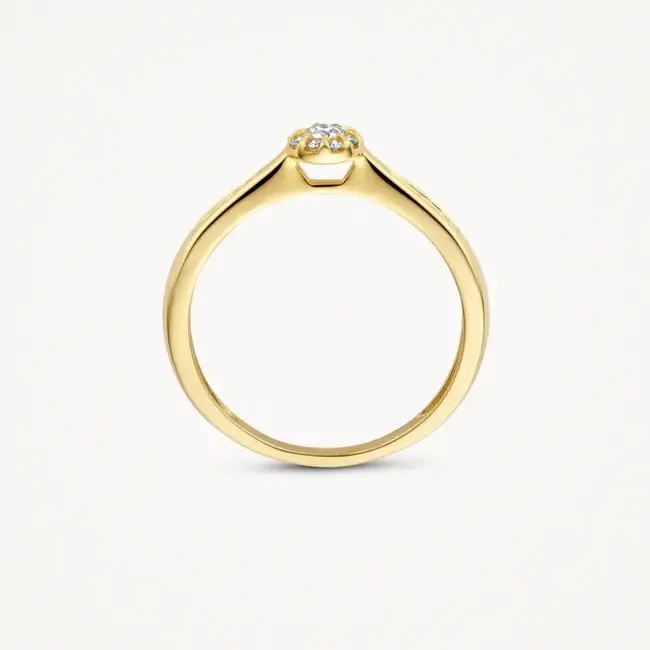 Blush Blush Ring 1632YDI/54 14k Geelgoud 0,19crt G SI Briljant geslepen Diamant Maat 54