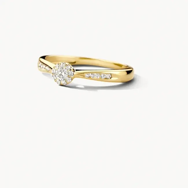 Blush Blush Ring 1632YDI/54 14k Geelgoud 0,19crt G SI Briljant geslepen Diamant Maat 54